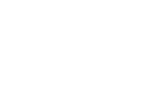 ZR-new